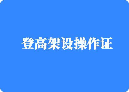 艹逼视频2登高架设操作证